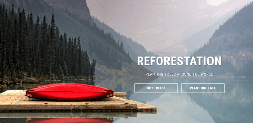 Special Announcement! Partnership with One Tree Planted